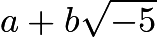 $a+b\sqrt{-5}$