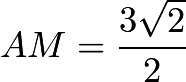 $AM=\frac{3\sqrt{2}}{2}$